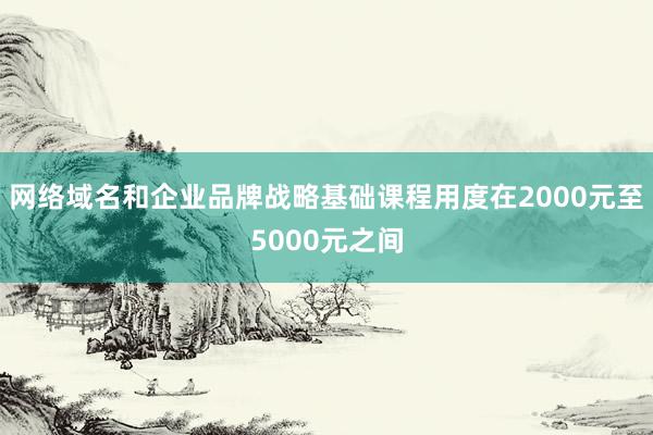 网络域名和企业品牌战略基础课程用度在2000元至5000元之间
